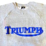 Triumph Pullover Blau auf Grau